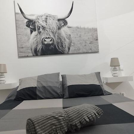 Apartamento Vista Casablanca بويرتو ذي لا كروز المظهر الخارجي الصورة